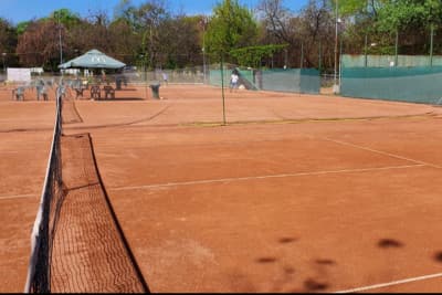 Asoc. Marii Campioni McMonis